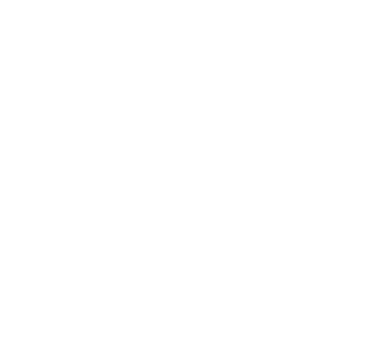 Telecom Marketing Icon